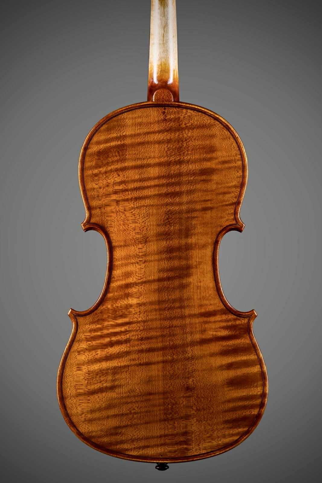 VIOLÍN ITALIANO MATTEO MAZZOTTI 2026 - Imagen 2
