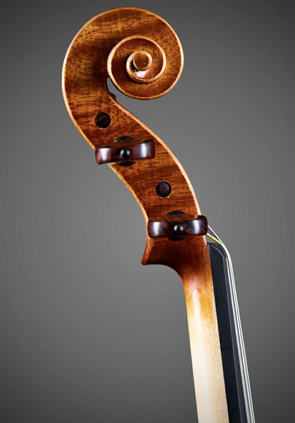 VIOLÍN ITALIANO MATTEO MAZZOTTI 2026 - Imagen 3