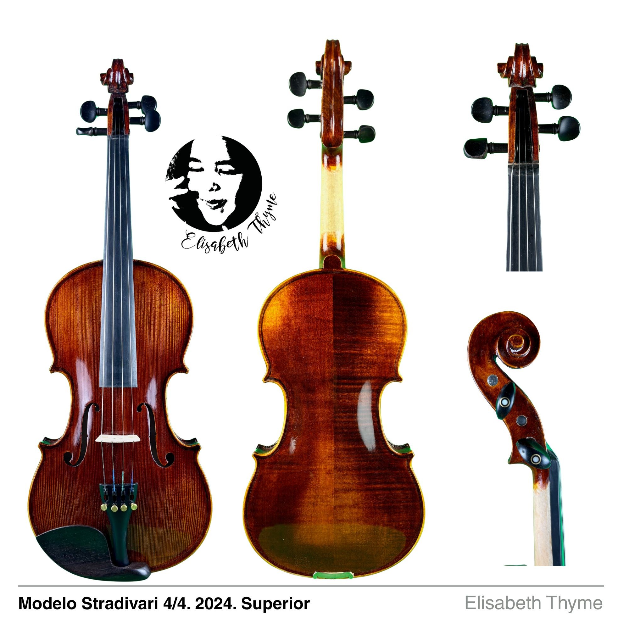 VIOLIN ELIZABETH THYME SUPERIOR