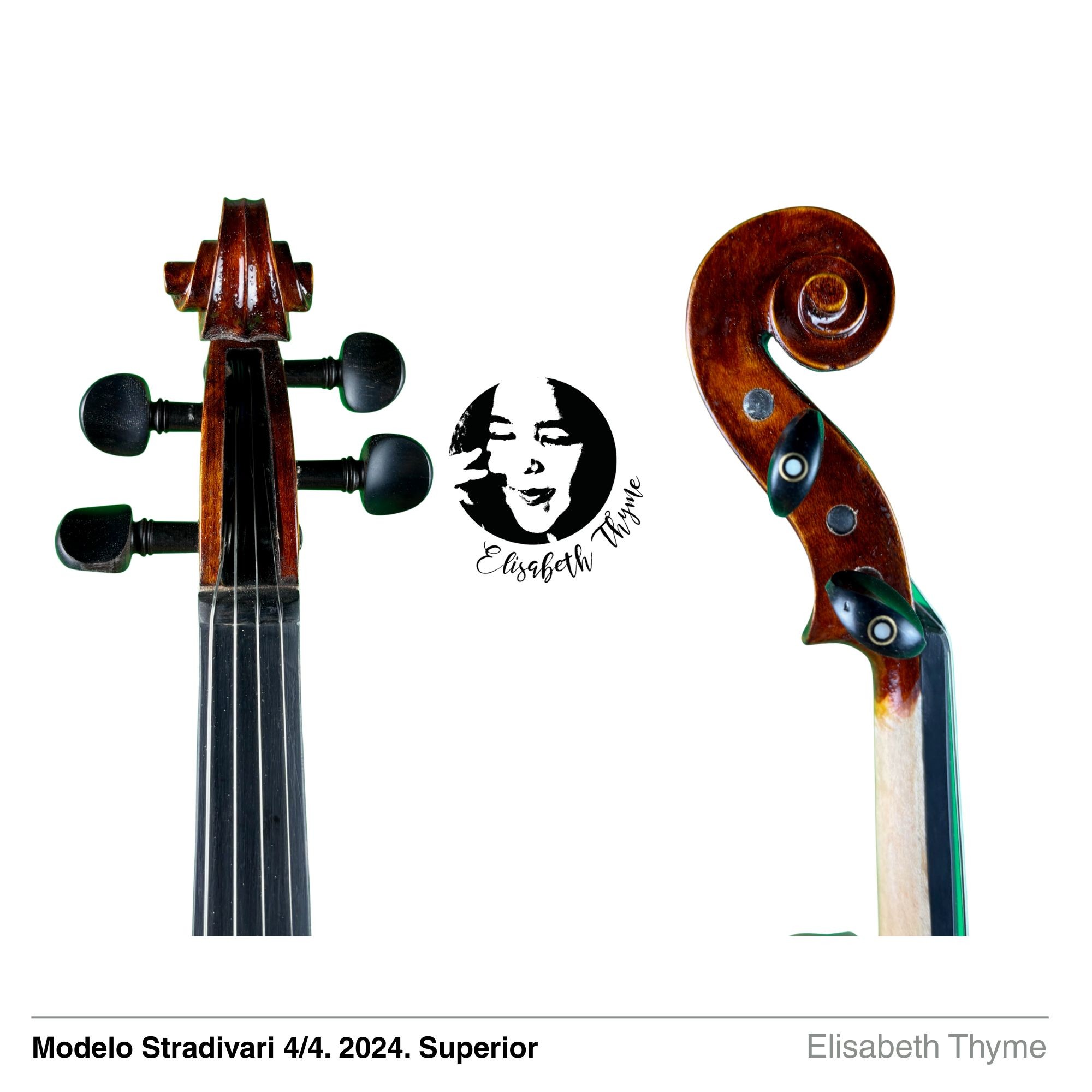 VIOLIN ELIZABETH THYME SUPERIOR