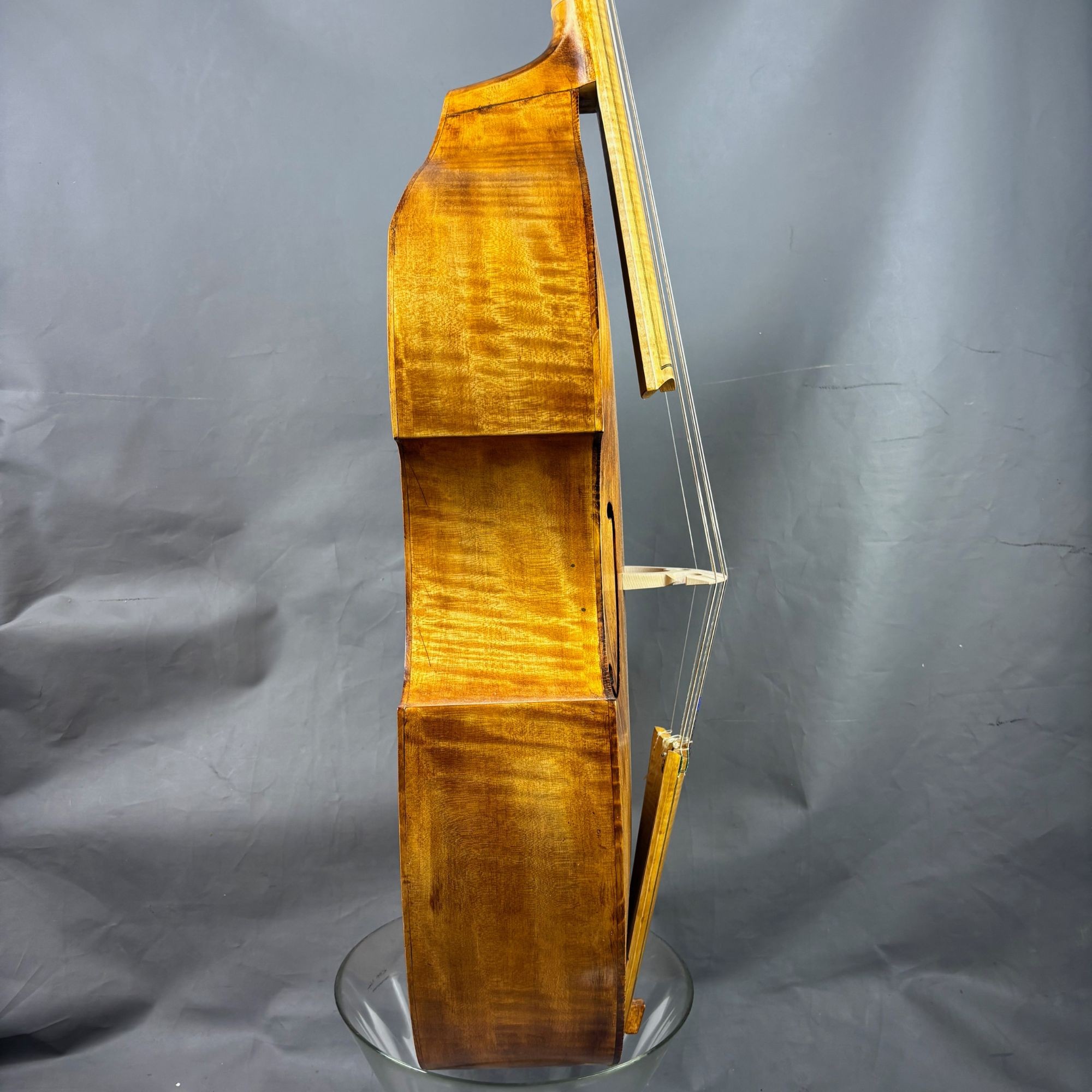 Viola da Gamba bajo "Leonard Thymian"