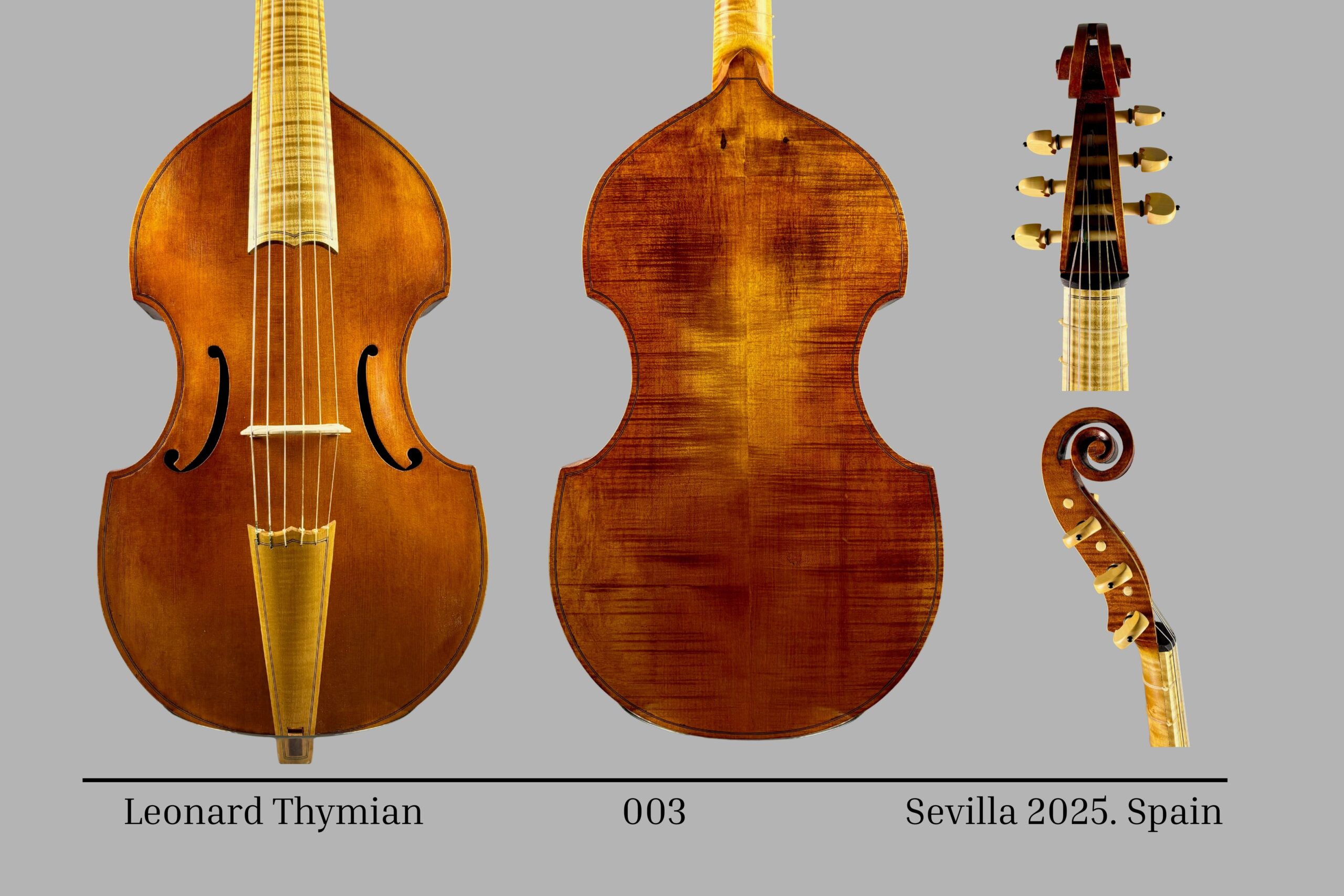 Viola da Gamba bajo Leonard Thymian 003