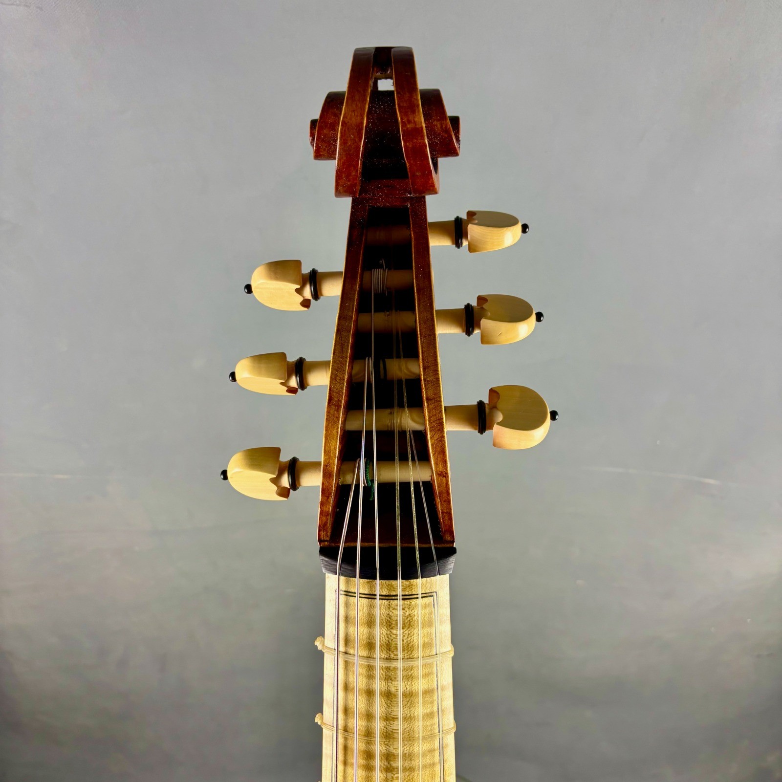 Viola da Gamba bajo Leonard Thymian 003