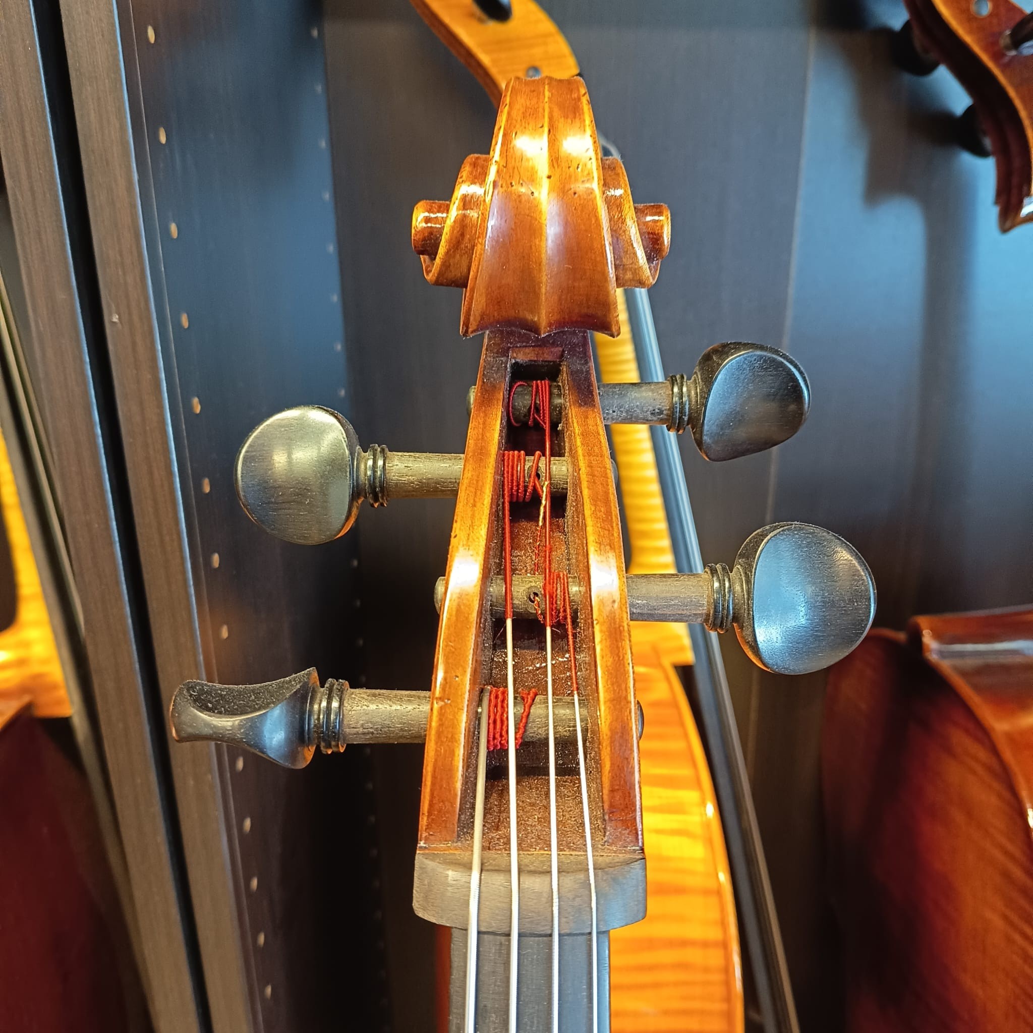 VIOLONCHELO MARIO GIO (Cod.006)