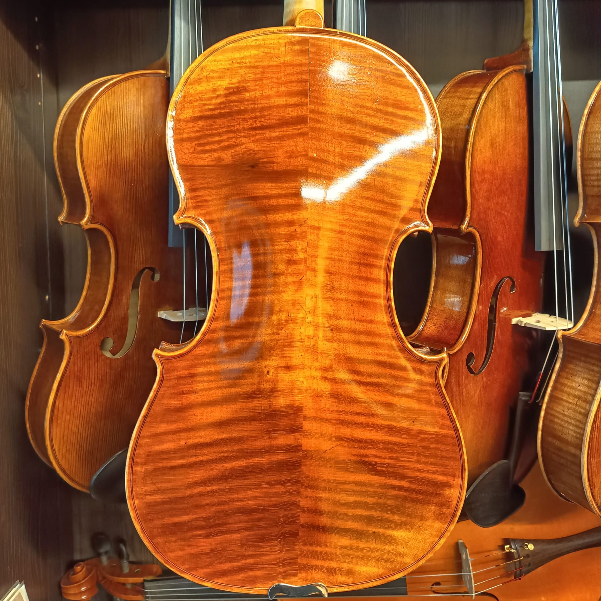VIOLA MARIO GIO 16" 2021 (Cod.004)