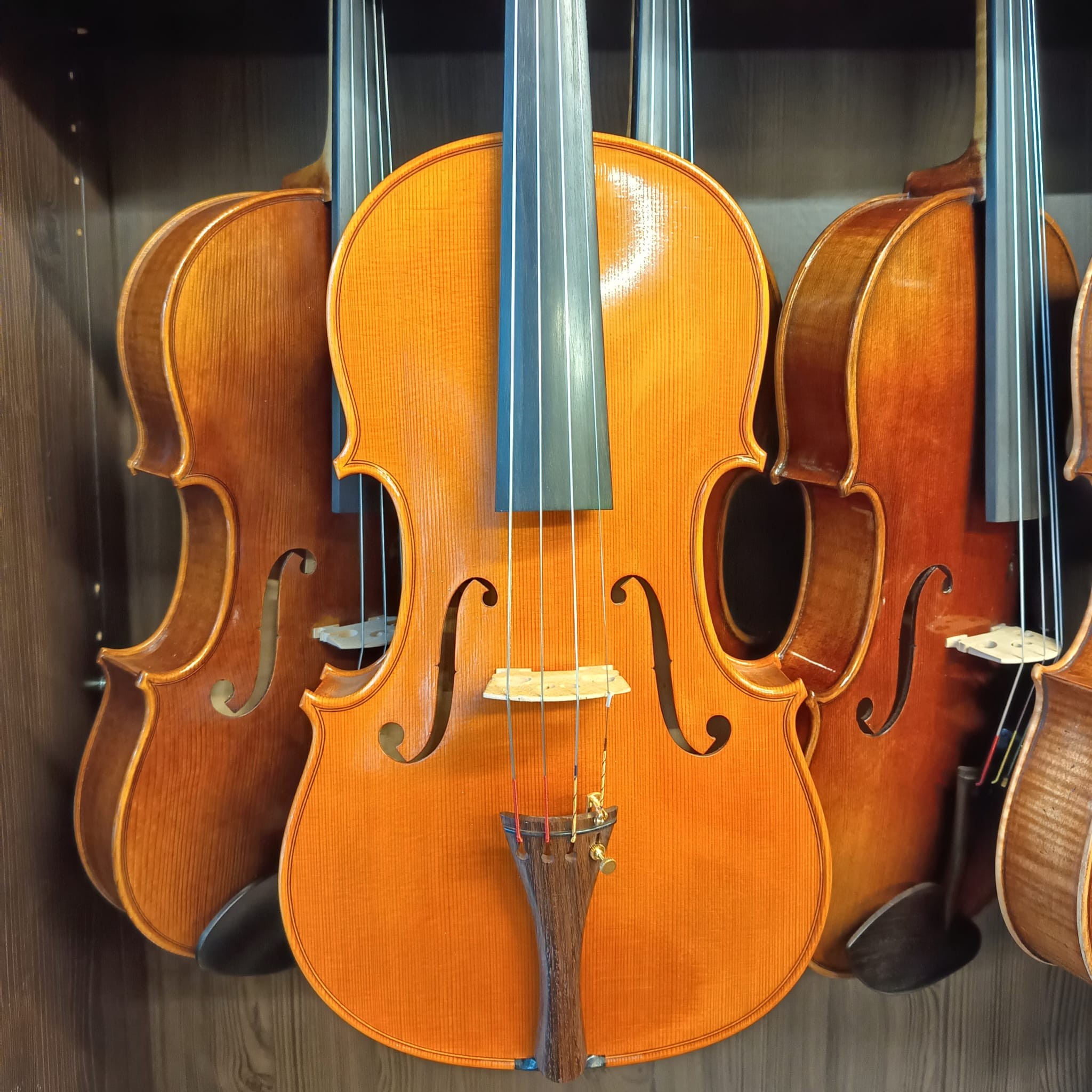 VIOLA MARIO GIO 16" 2019 (Cod.001)
