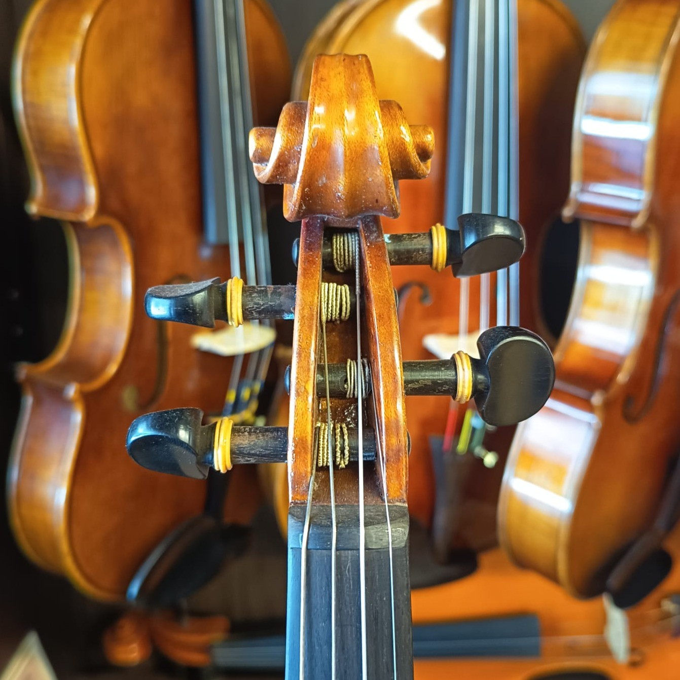VIOLÍN MARIO GIO 2024 (Cod. 022)