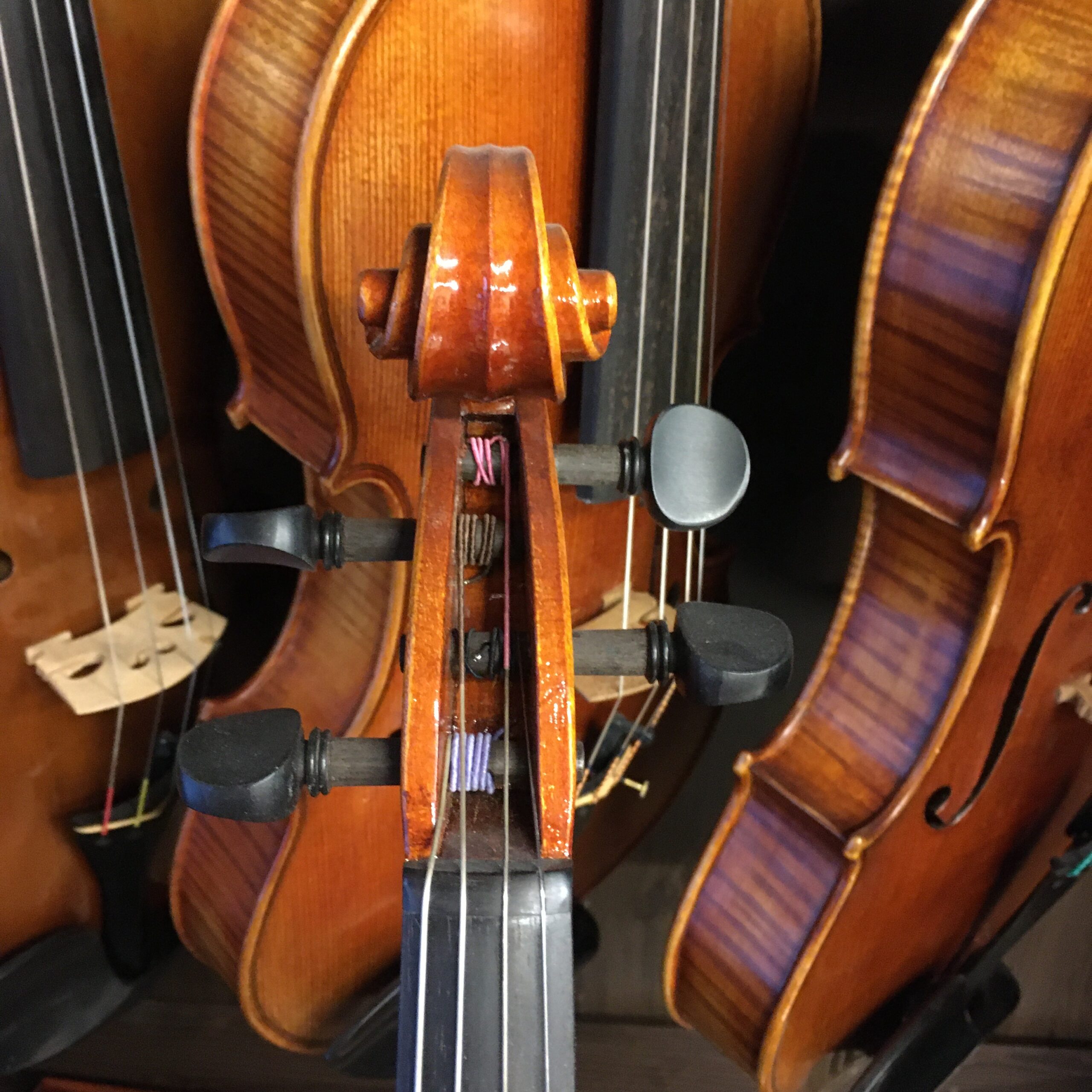 VIOLA EDGAR RUSS "SCALA PERFETTA"
