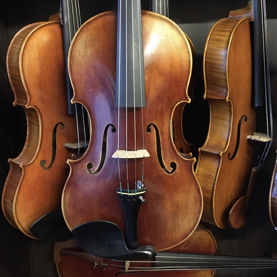 VIOLA MARIO GIO 16" 2021 (Cod.007)