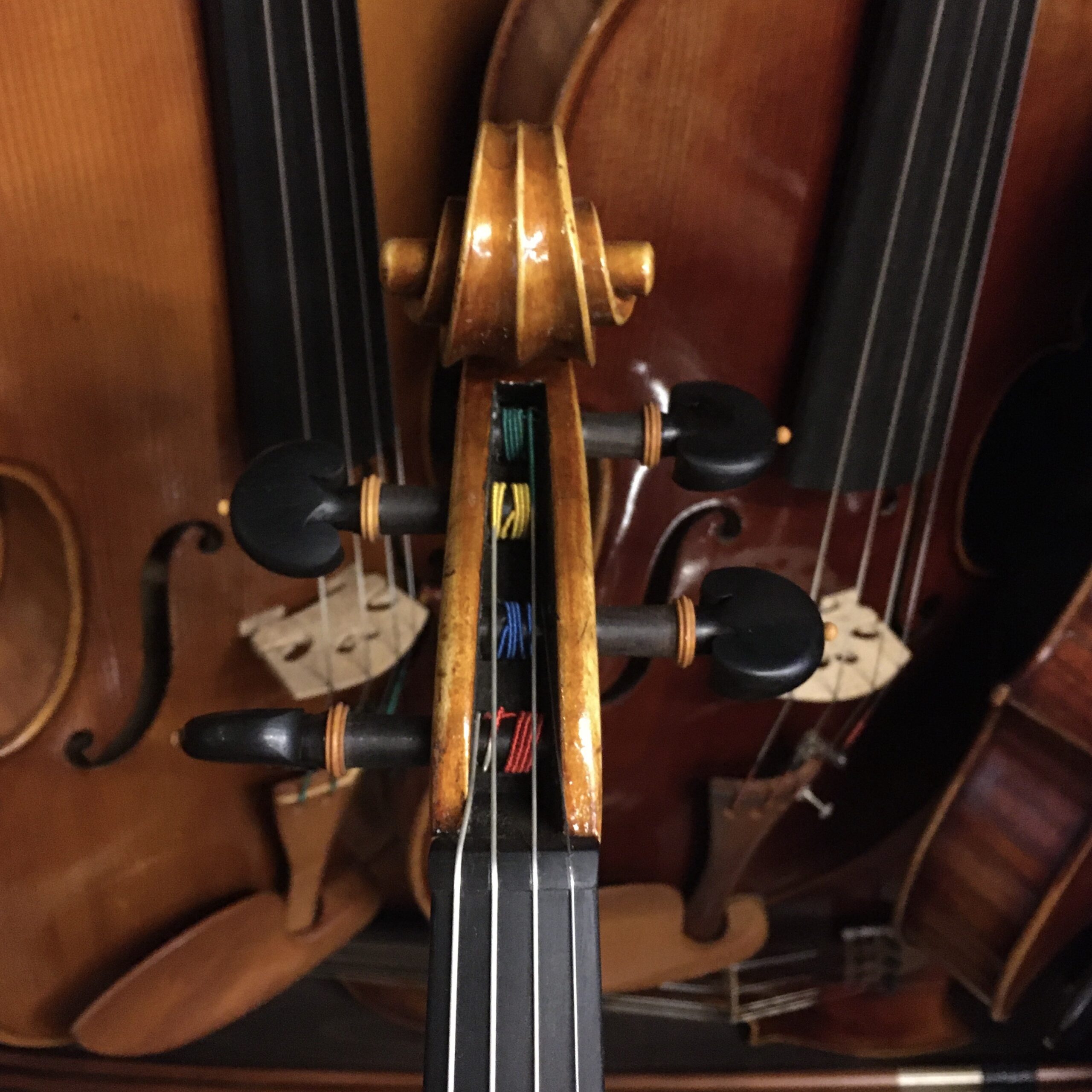 VIOLA LEONARD THYMIAN 16" (Cod.011)
