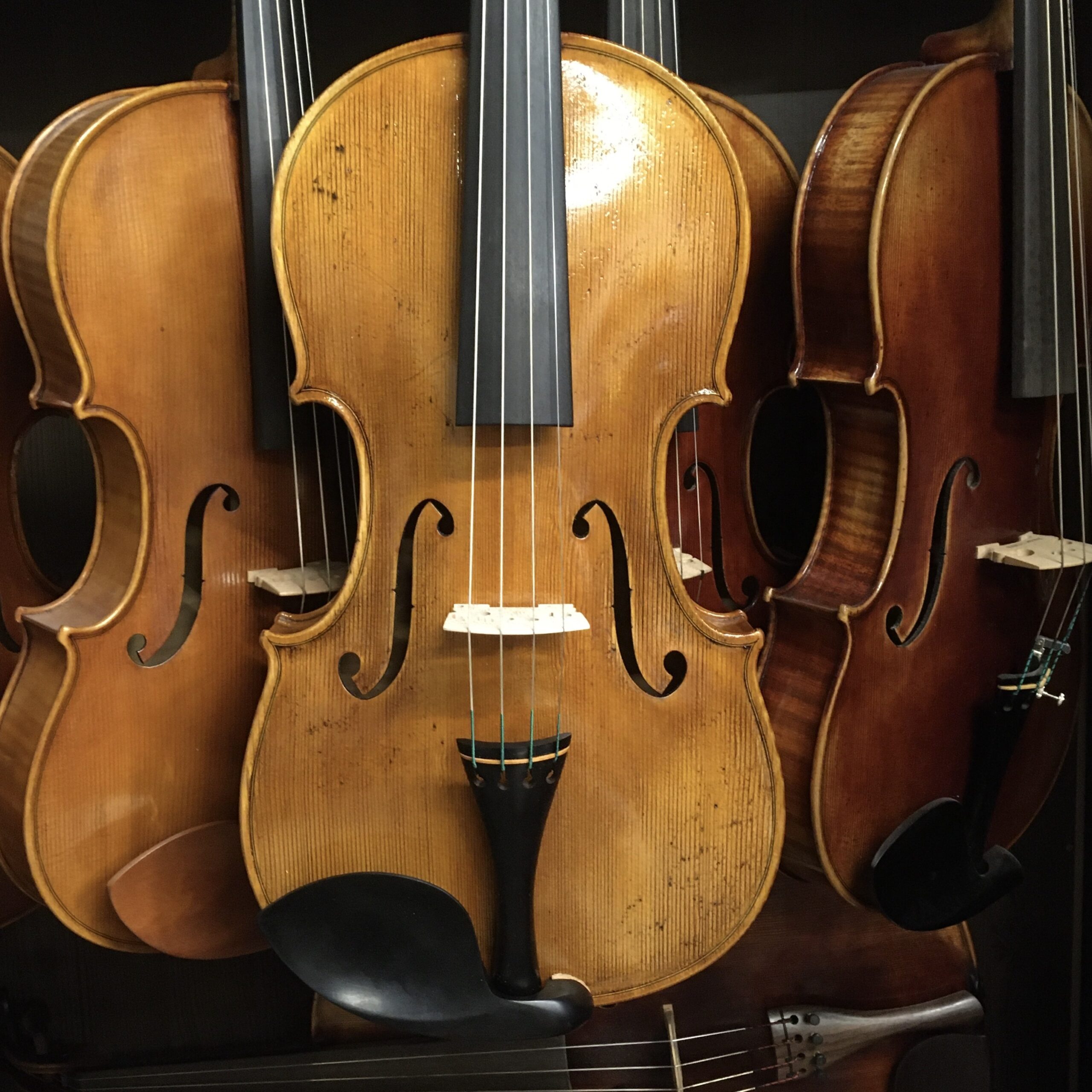 VIOLA LEONARD THYMIAN 16" (Cod.011)