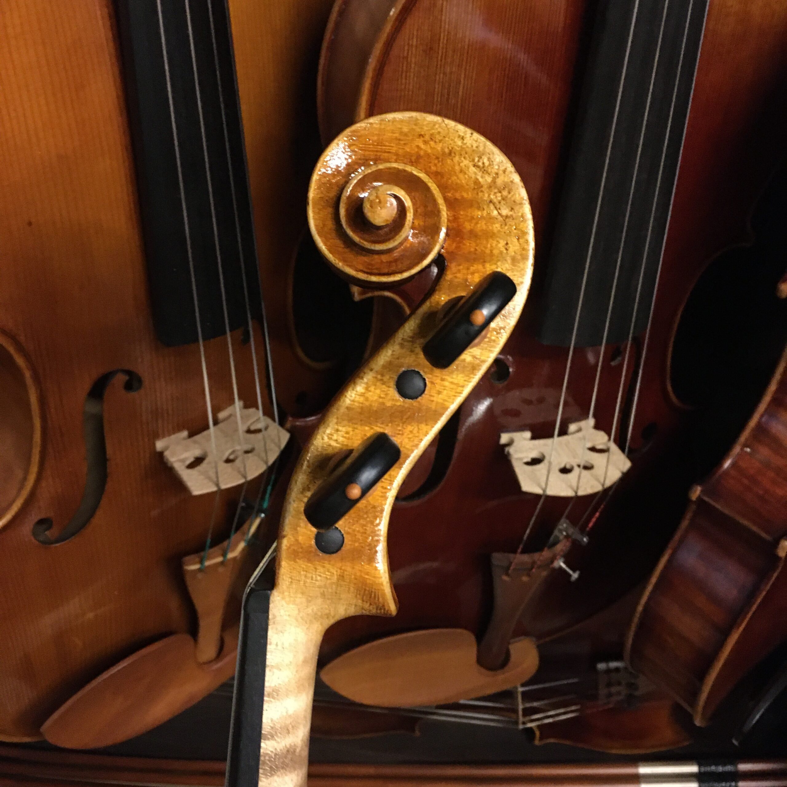 VIOLA LEONARD THYMIAN 16" (Cod.011)
