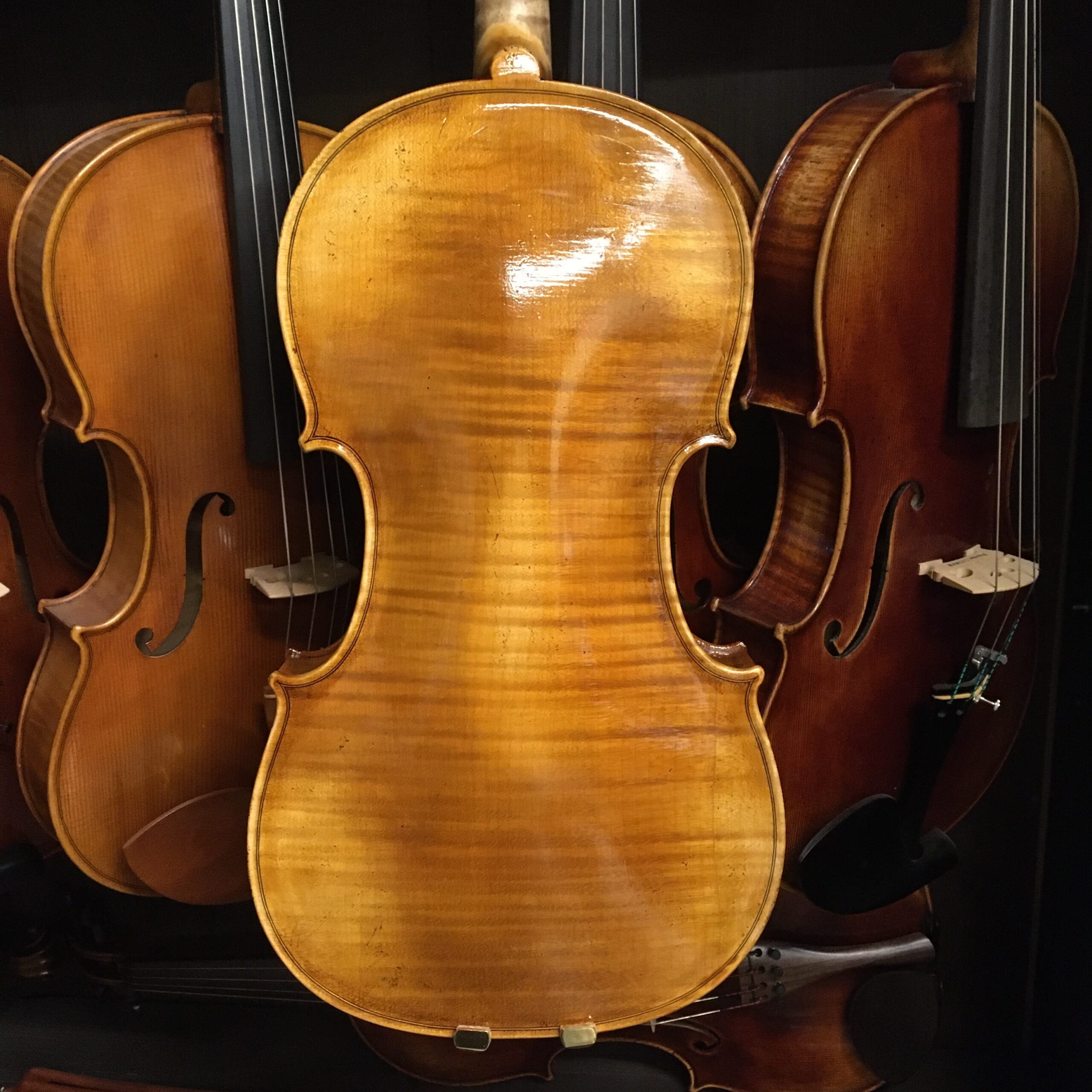 VIOLA LEONARD THYMIAN 16" (Cod.011)