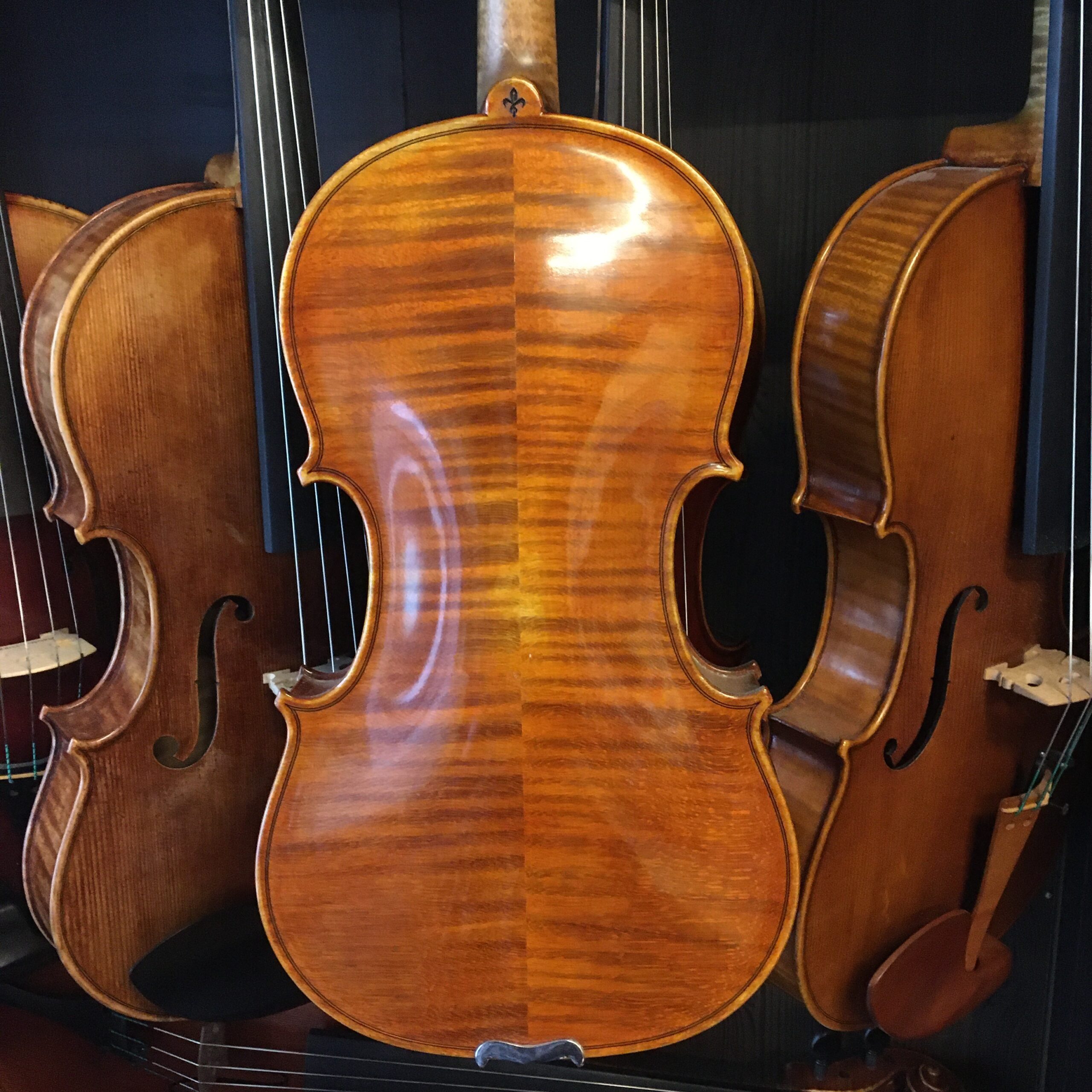 VIOLÍN MARIO GIO 2022 (Cod.003)
