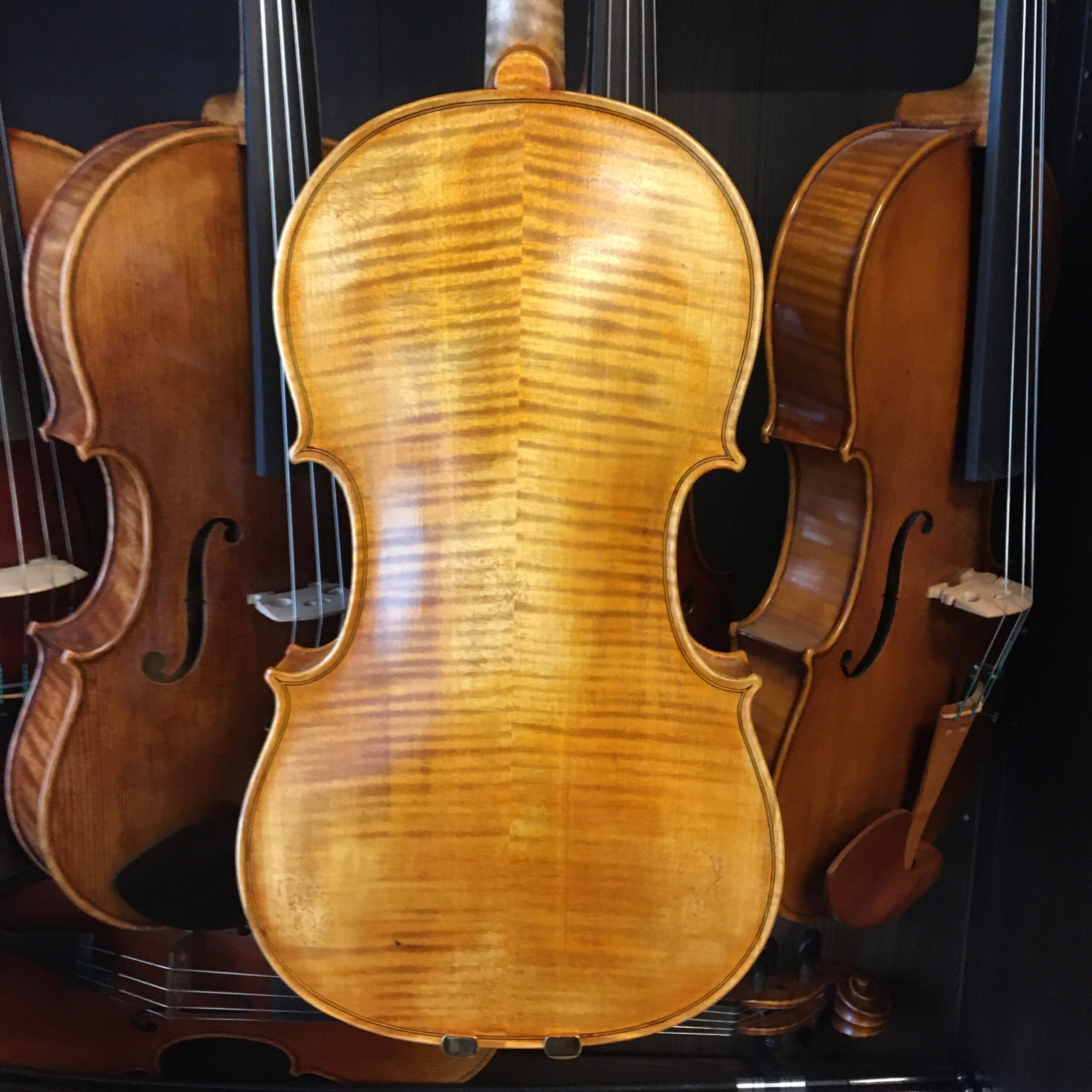VIOLA LEONARD THYMIAN 15,5" (Cod.003)