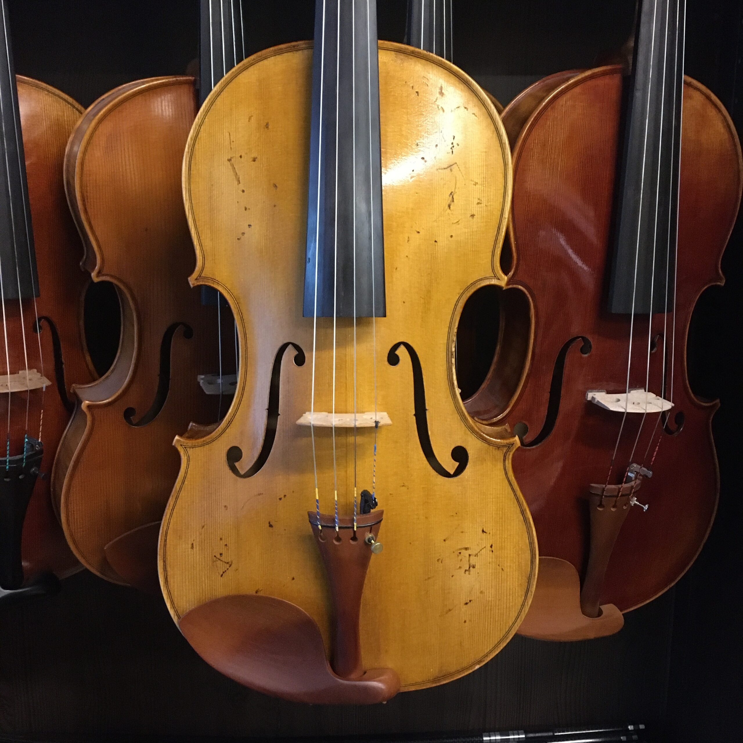 VIOLA LEONARD THYMIAN 16" (Cod.004)