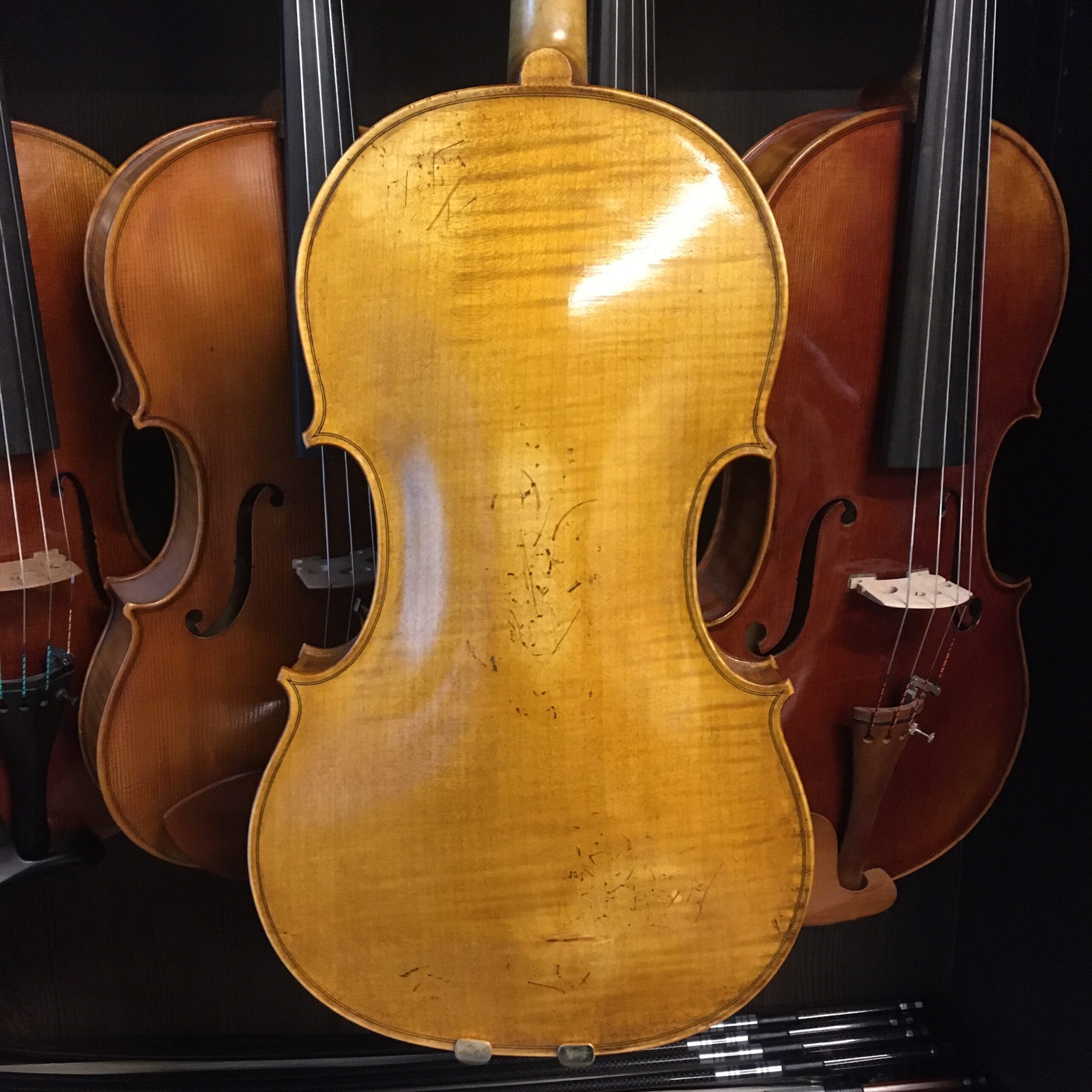 VIOLA LEONARD THYMIAN 16" (Cod.004)