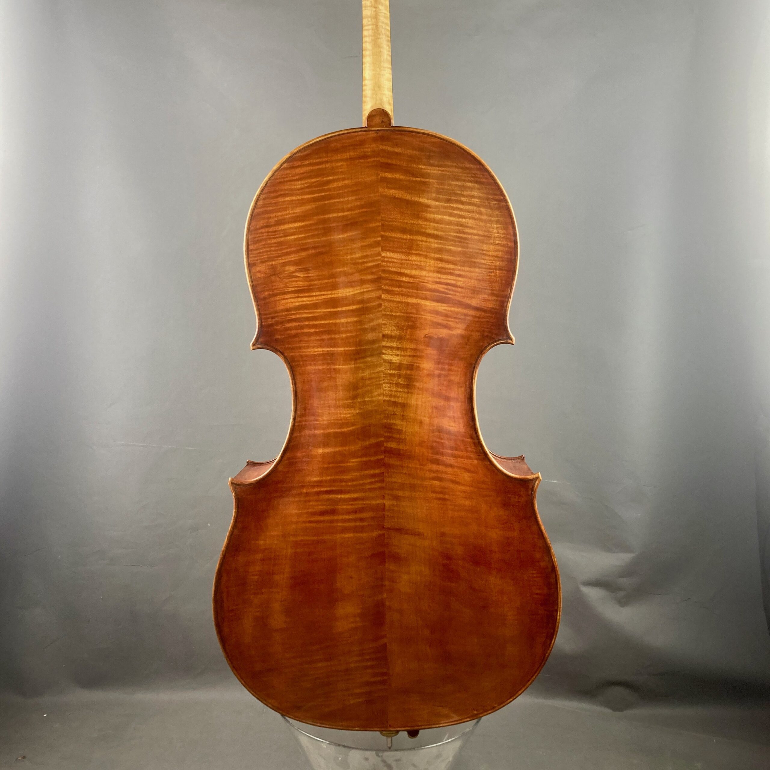 VIOLONCELLO S. MARZI FLORENCIA 2023