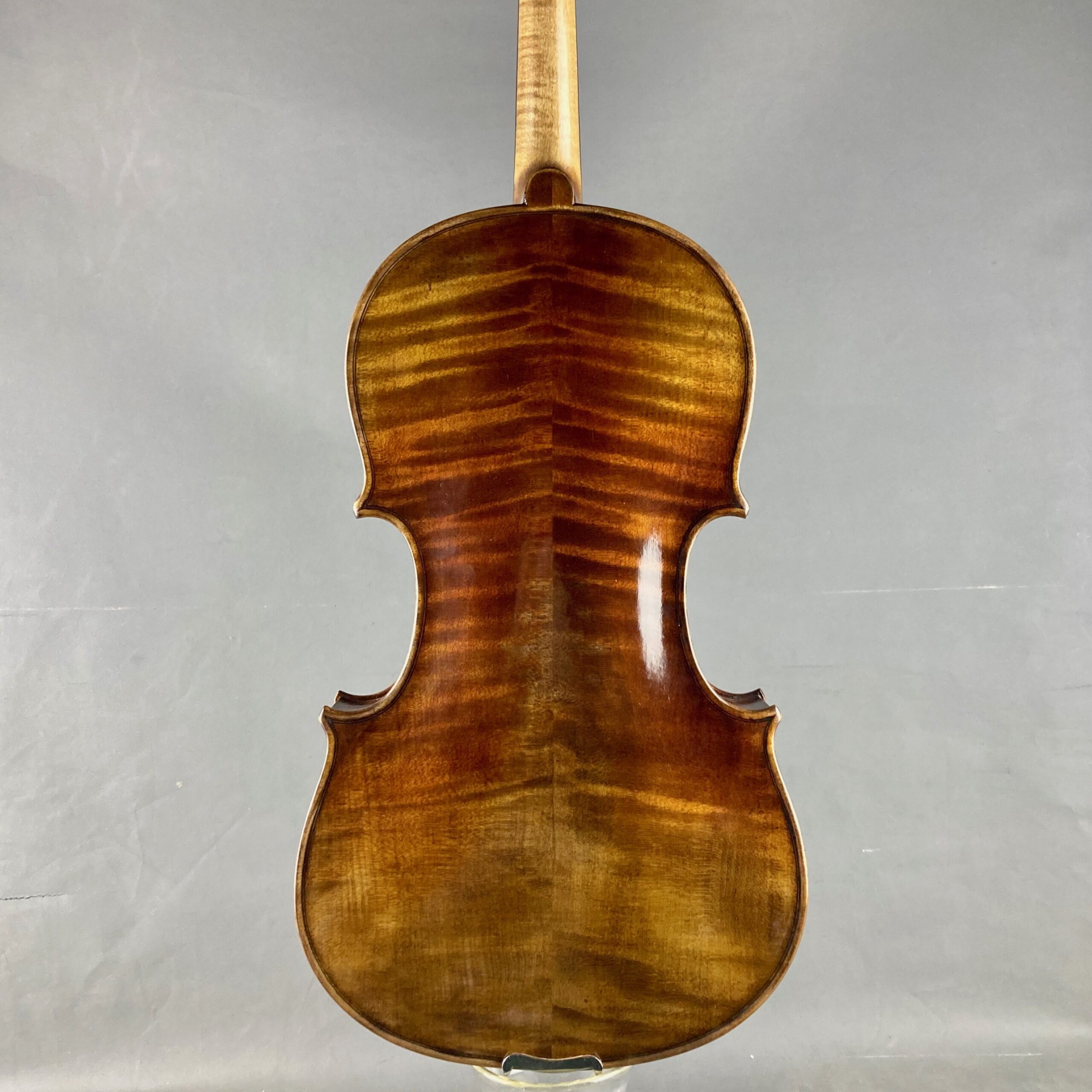 VIOLA FOWLER MASTER PRO